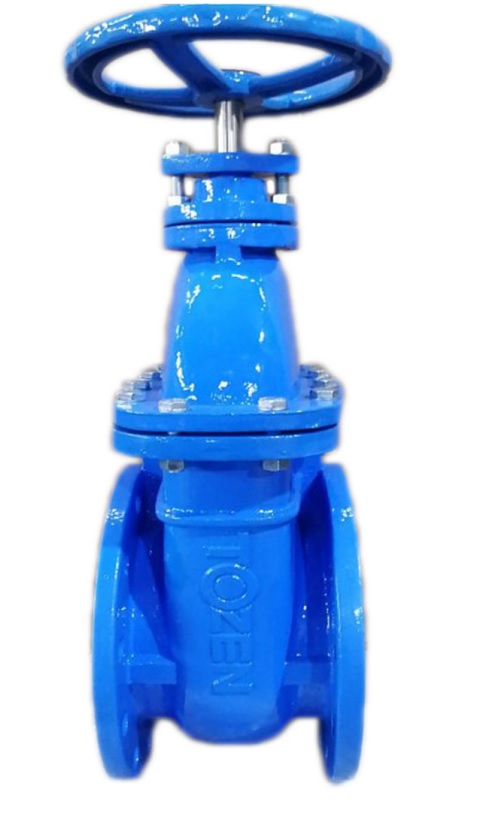 GATE VALVE (DIN 3202 F4 SERIES)